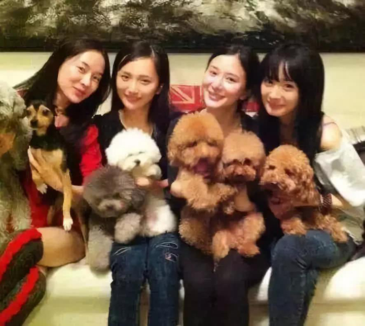 Không thân với Dương Mịch, đừng tán dóc cùng Triệu Lệ Dĩnh và 101 quy tắc ở Cbiz - 4