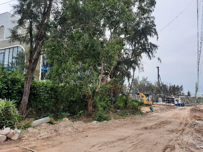 Quảng trường Biển – Long Hải nằm ở đâu? - 3