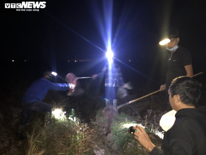 Ảnh: Theo chân cao thủ ở Hưng Yên đi săn chuột đồng - 1