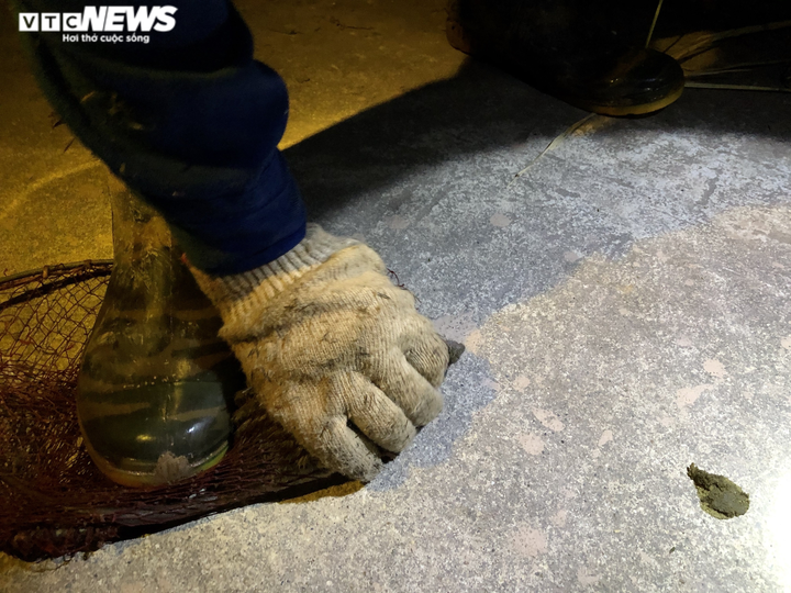 Ảnh: Theo chân cao thủ ở Hưng Yên đi săn chuột đồng - 10