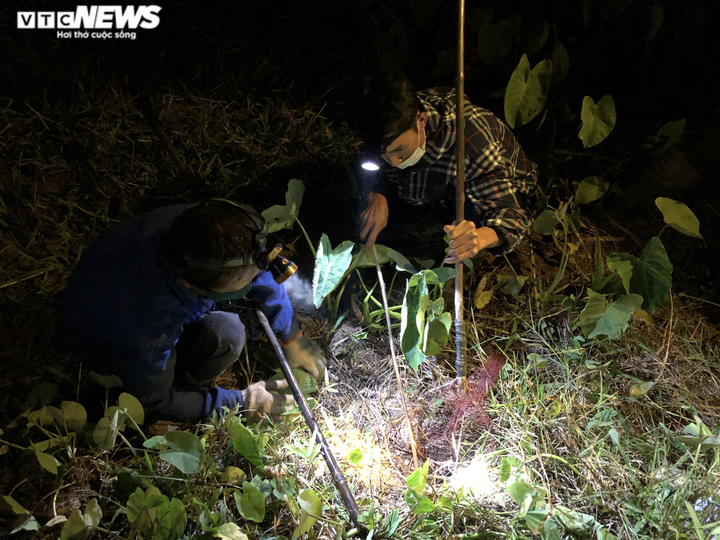 Ảnh: Theo chân cao thủ ở Hưng Yên đi săn chuột đồng - 2