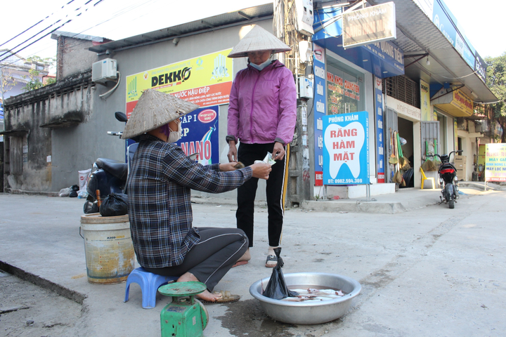 Ảnh: Theo chân cao thủ ở Hưng Yên đi săn chuột đồng - 14