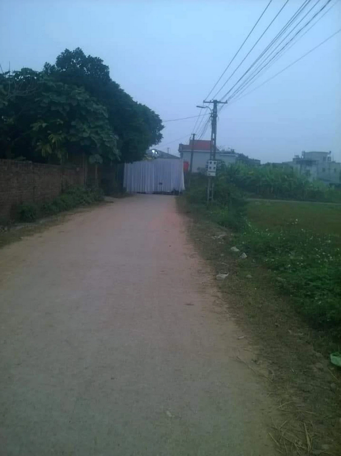 ‘Bức rèm trắng’ chắn giữa đường và tấm biển chỉ dẫn khiến tài xế dở khóc dở cười - 1