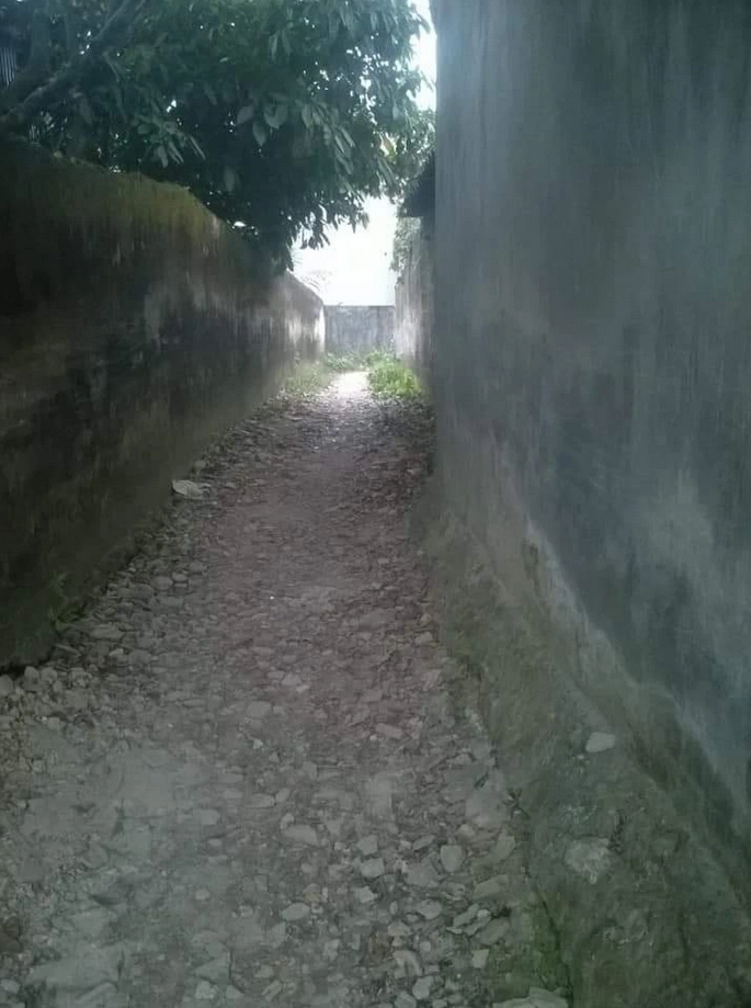 ‘Bức rèm trắng’ chắn giữa đường và tấm biển chỉ dẫn khiến tài xế dở khóc dở cười - 4