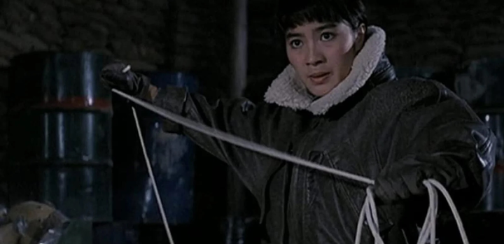 8 bộ phim võ thuật Hong Kong hay nhất mọi thời đại - 2