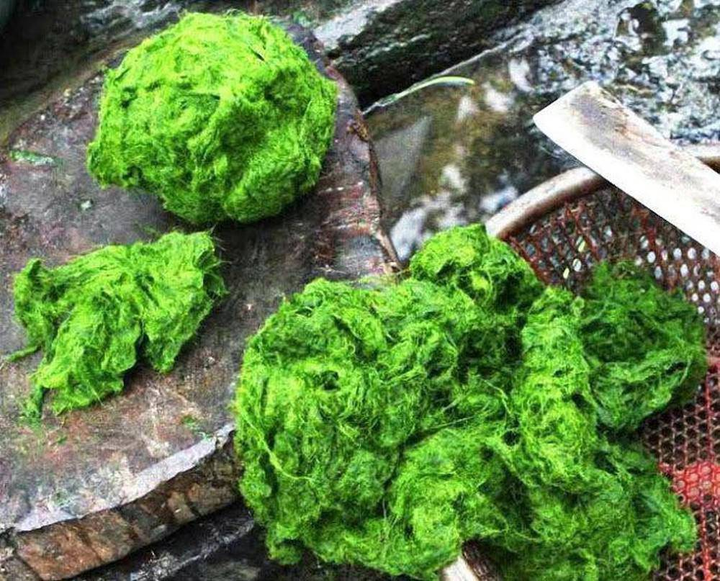 Về Phú Thọ nếm thử rêu đá của người Mường: Từ món cứu đói nay đã thành đặc sản - 4