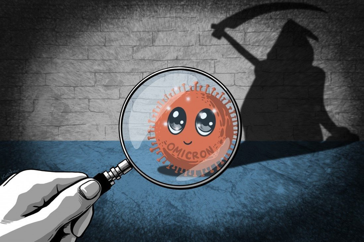 Chuyên gia: Quá sớm để kết luận COVID-19 ít nguy hiểm hơn vì Omicron - 1