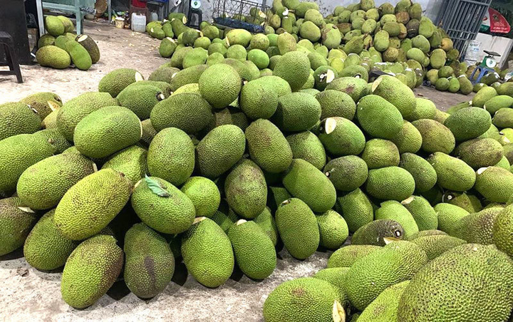 Quy định mới của Trung Quốc khiến triệu tấn trái cây Việt rơi vào thế khó - 2
