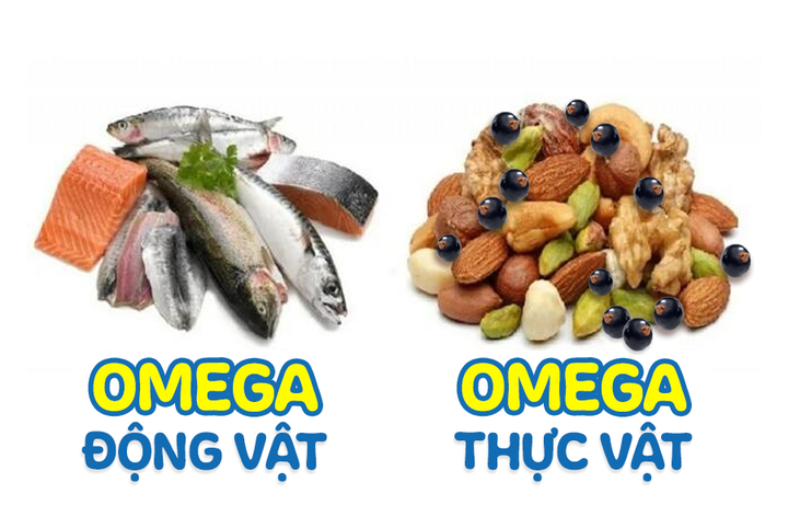 Khác biệt giữa Omega thực vật và Omega động vật các mẹ cần biết - 2