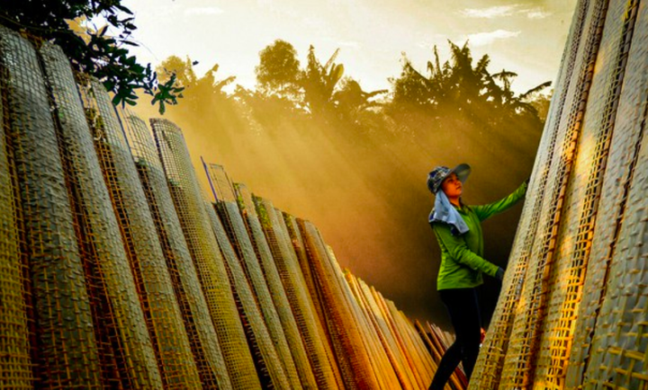 Sau 20 năm thực hiện NQ TW5-Khóa IX: Nhiều cơ chế, chính sách cần được sửa đổi - 3