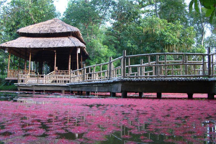 Đất Việt xưa: Ngôi chùa lưu dấu thời gian và số phận thái giám triều Nguyễn - 12