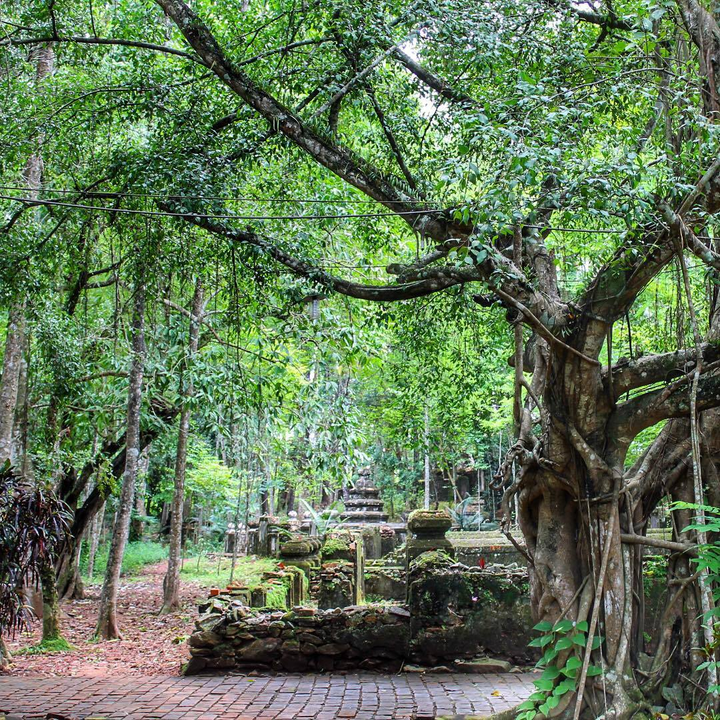 Đất Việt xưa: Ngôi chùa lưu dấu thời gian và số phận thái giám triều Nguyễn - 11