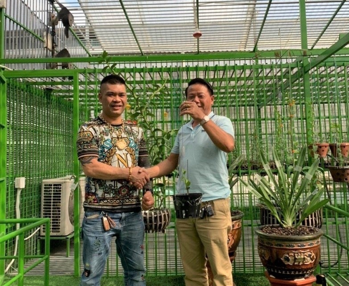 Ông chủ nhà vườn Vũ Hạnh và khát vọng về một ngành lan phát triển - 4