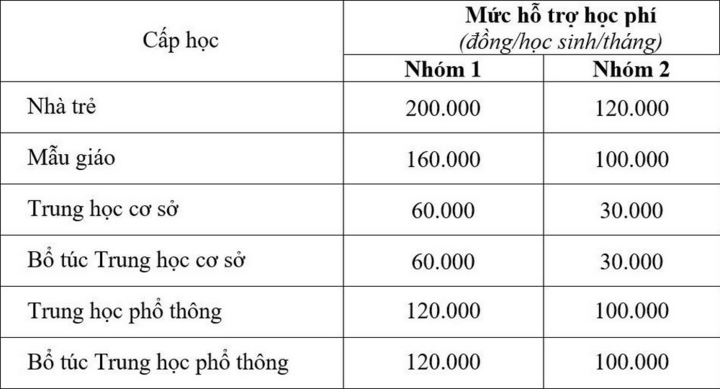 TP.HCM miễn học phí kỳ 2 cho cả học sinh công lập và ngoài công lập - 2
