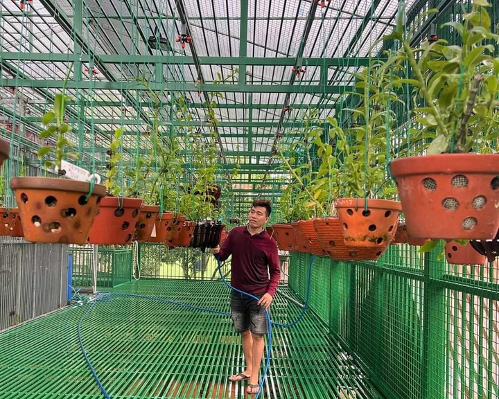 Ông chủ nhà vườn Linh Ngọc Hoa Lan và khát vọng lan tỏa giá trị ngành lan - 1