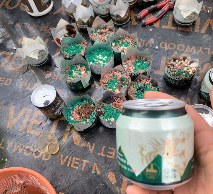 Ông chủ nhà vườn Linh Ngọc Hoa Lan và khát vọng lan tỏa giá trị ngành lan - 3