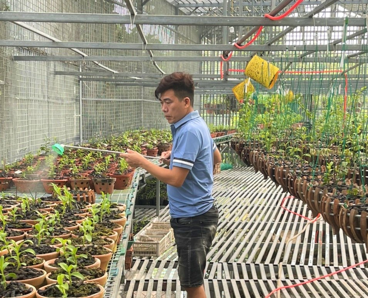 Ông chủ nhà vườn Linh Ngọc Hoa Lan và khát vọng lan tỏa giá trị ngành lan - 4