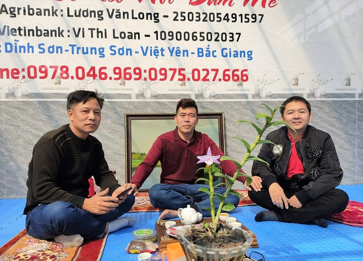 Ông chủ nhà vườn Linh Ngọc Hoa Lan và khát vọng lan tỏa giá trị ngành lan - 5