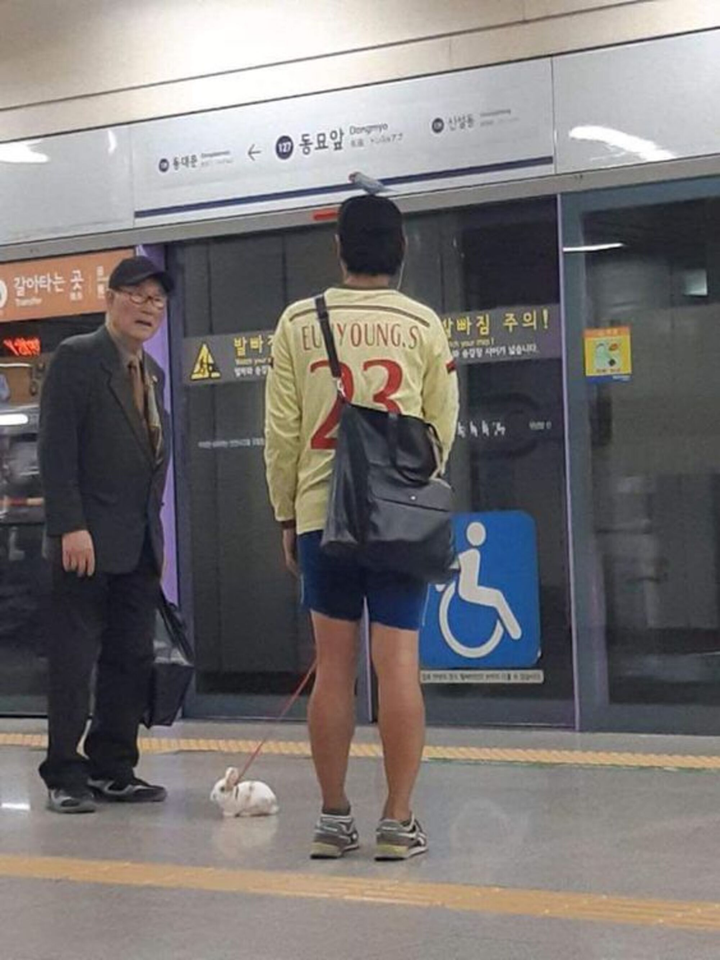 Không vợ cũng chẳng có bạn gái, đây là cách các chàng trai đối phó với cô đơn - 6