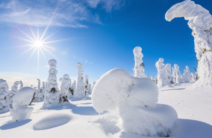Khu rừng tuyết đẹp đến mê hồn ngỡ như lạc vào thế giới của Nữ hoàng băng giá - 4