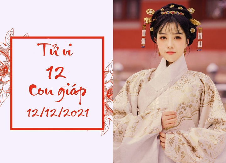 Tử vi 12 con giáp 12/12: Tý cạnh tranh có lợi, Hợi tích lũy tăng cao - 1