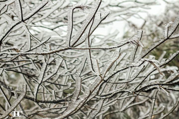 Mê mẩn ngắm băng tuyết đẹp như tranh vào mùa Đông ngay tại Việt Nam - 5