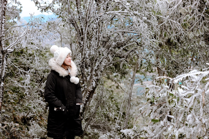 Mê mẩn ngắm băng tuyết đẹp như tranh vào mùa Đông ngay tại Việt Nam - 9