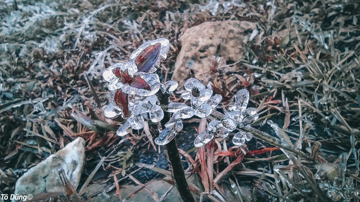 Mê mẩn ngắm băng tuyết đẹp như tranh vào mùa Đông ngay tại Việt Nam - 4