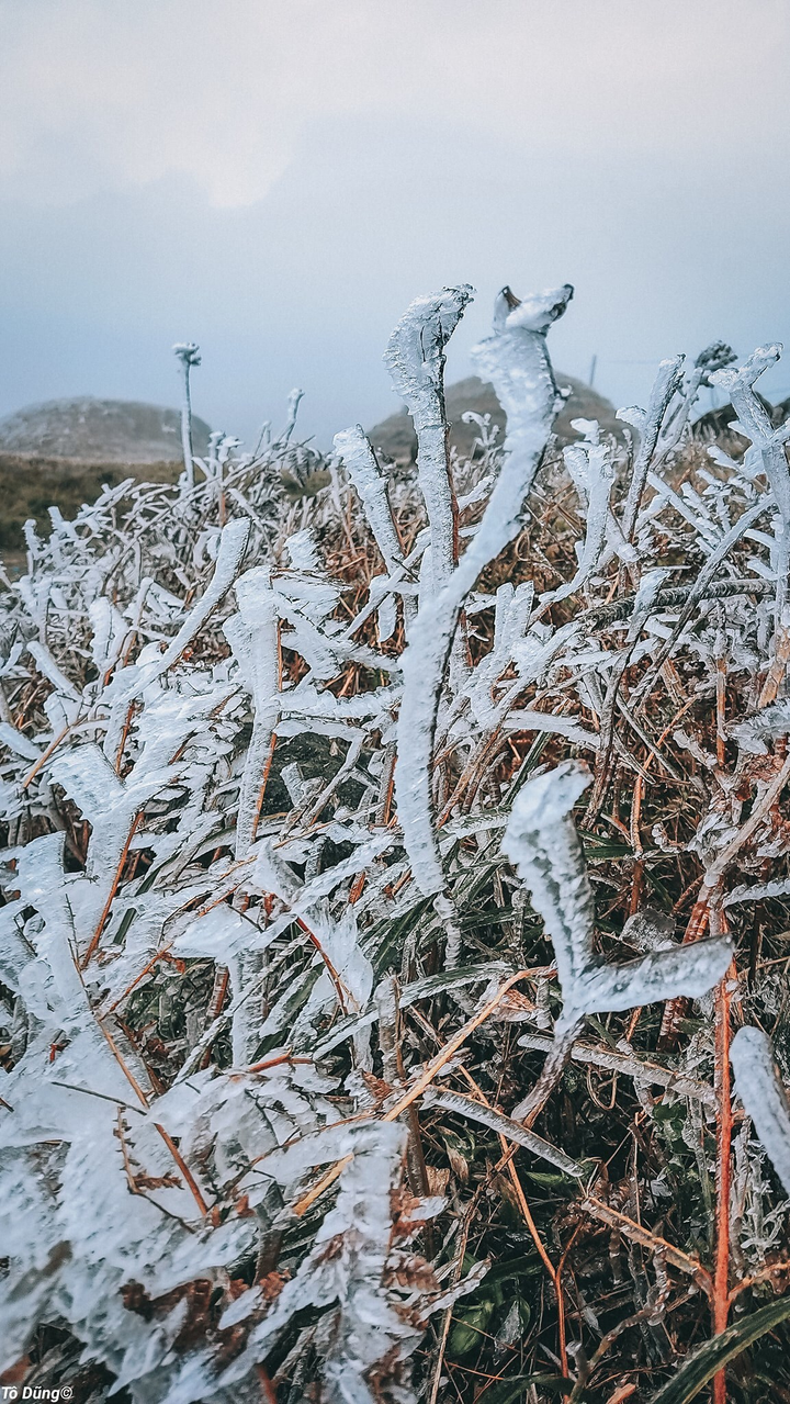 Mê mẩn ngắm băng tuyết đẹp như tranh vào mùa Đông ngay tại Việt Nam - 6