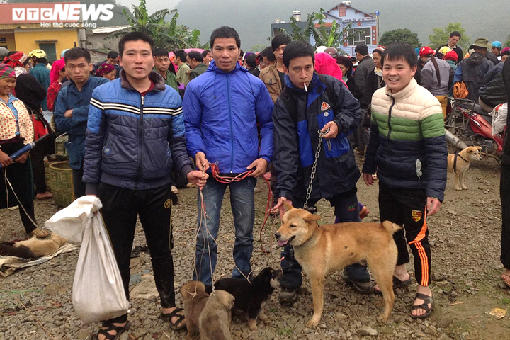 Theo dấu 'khuyển vương Mông cộc' và những chuyến 'tầm cẩu' nơi vùng cao - 3