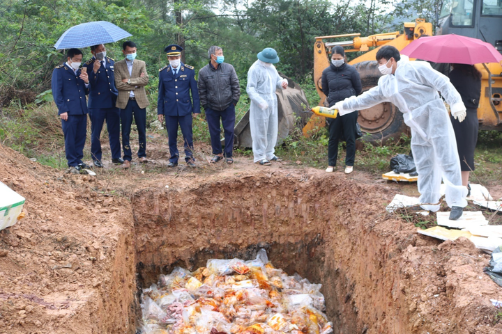 Quảng Bình tiêu hủy gần 2,5 tấn cánh gà, tràng lợn, bắp bò không rõ nguồn gốc - 1