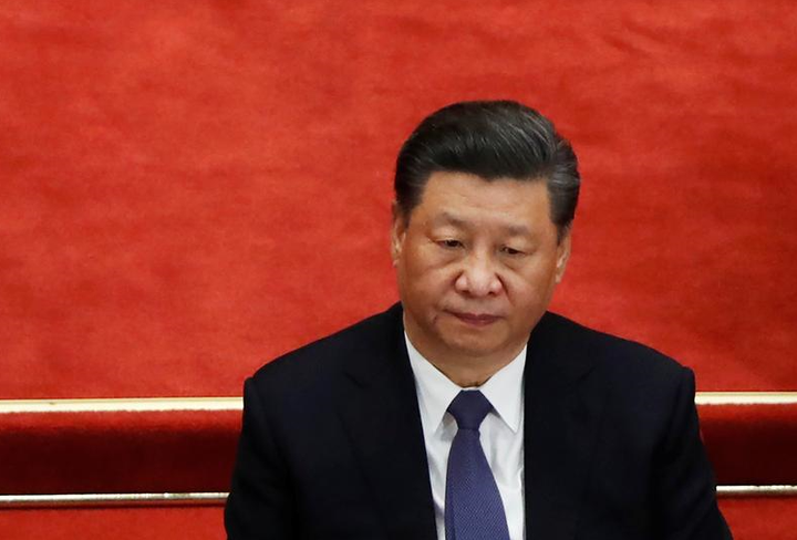 10 quan chức Trung Quốc bị trừng phạt vì chặt phá hơn 8.000 cây xanh - 1