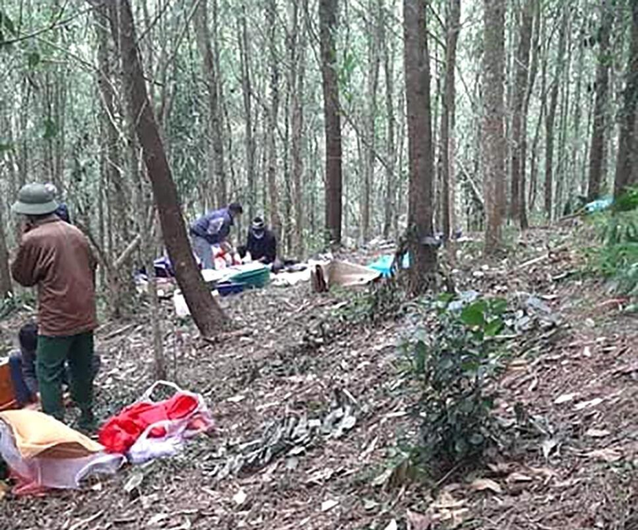 Vụ phát hiện thi thể bị nhiều vết đâm trong rừng keo: Triệu tập nghi phạm - 1