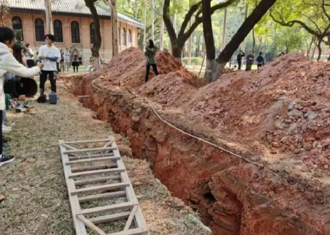 Đi giữa sân trường, thấy giảng viên và bạn học đào bới mộ cổ - 1