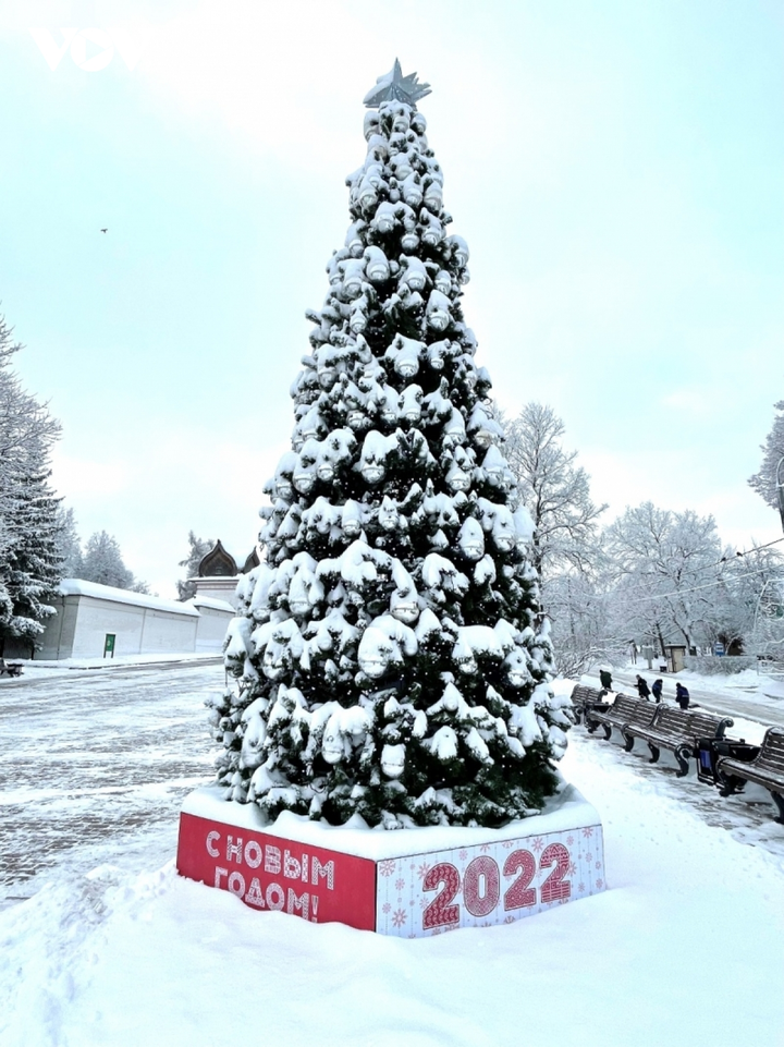 Cảnh diễm lệ của mùa đông nước Nga: Moskva khoác áo choàng tuyết - 11