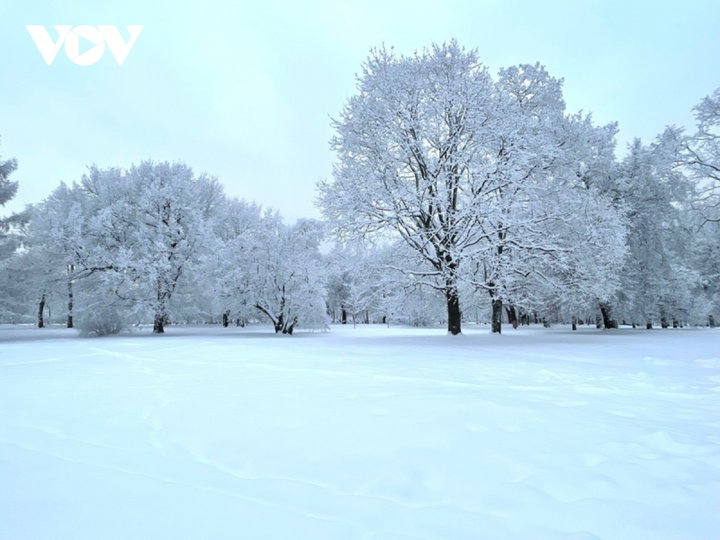 Cảnh diễm lệ của mùa đông nước Nga: Moskva khoác áo choàng tuyết - 2