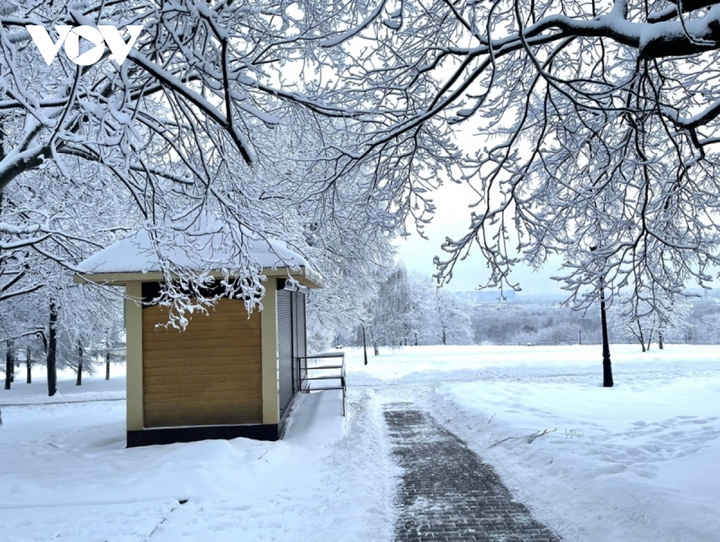 Cảnh diễm lệ của mùa đông nước Nga: Moskva khoác áo choàng tuyết - 8