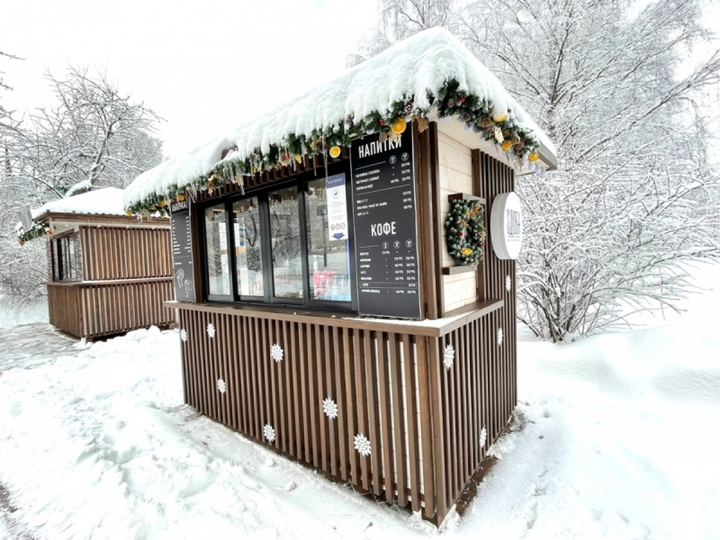 Cảnh diễm lệ của mùa đông nước Nga: Moskva khoác áo choàng tuyết - 9