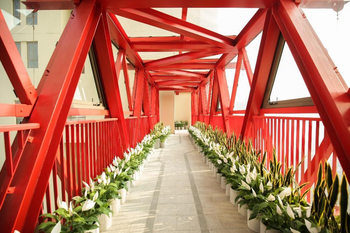 Văn Phú - Invest chính thức bàn giao căn hộ The Terra - An Hưng - 2