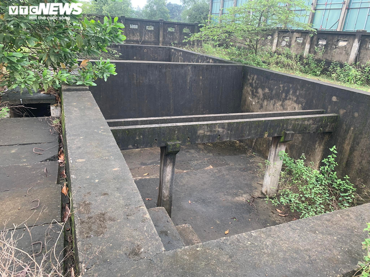 Cận cảnh nhà máy nước 30 tỷ đồng bỏ hoang thành nơi nuôi bò suốt nửa thập kỷ - 3