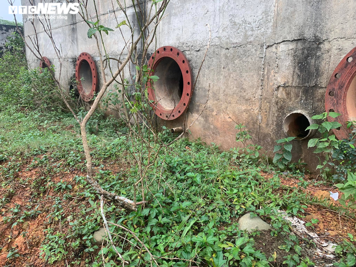 Cận cảnh nhà máy nước 30 tỷ đồng bỏ hoang thành nơi nuôi bò suốt nửa thập kỷ - 5