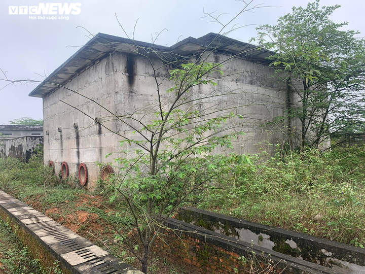 Cận cảnh nhà máy nước 30 tỷ đồng bỏ hoang thành nơi nuôi bò suốt nửa thập kỷ - 2