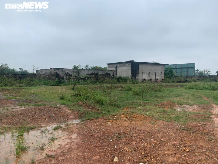 Cận cảnh nhà máy nước 30 tỷ đồng bỏ hoang thành nơi nuôi bò suốt nửa thập kỷ - 1