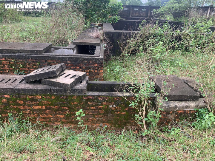 Cận cảnh nhà máy nước 30 tỷ đồng bỏ hoang thành nơi nuôi bò suốt nửa thập kỷ - 7