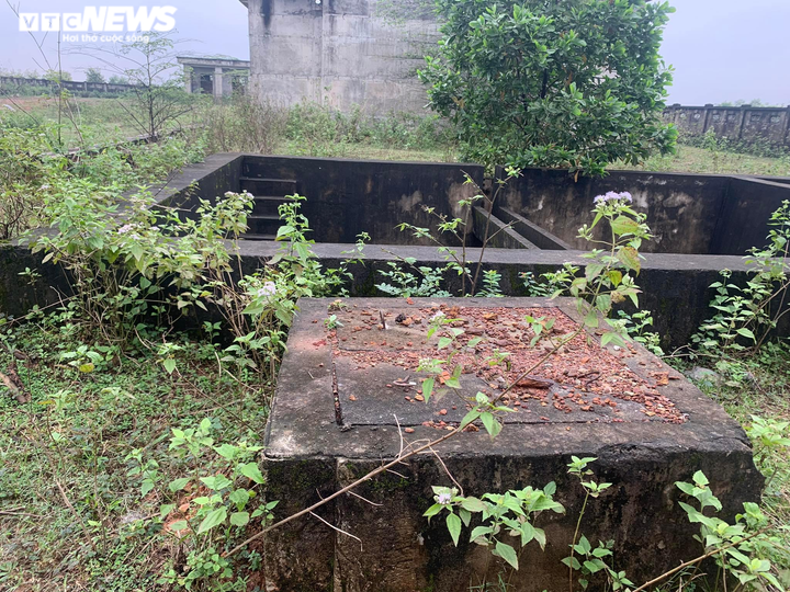 Cận cảnh nhà máy nước 30 tỷ đồng bỏ hoang thành nơi nuôi bò suốt nửa thập kỷ - 6