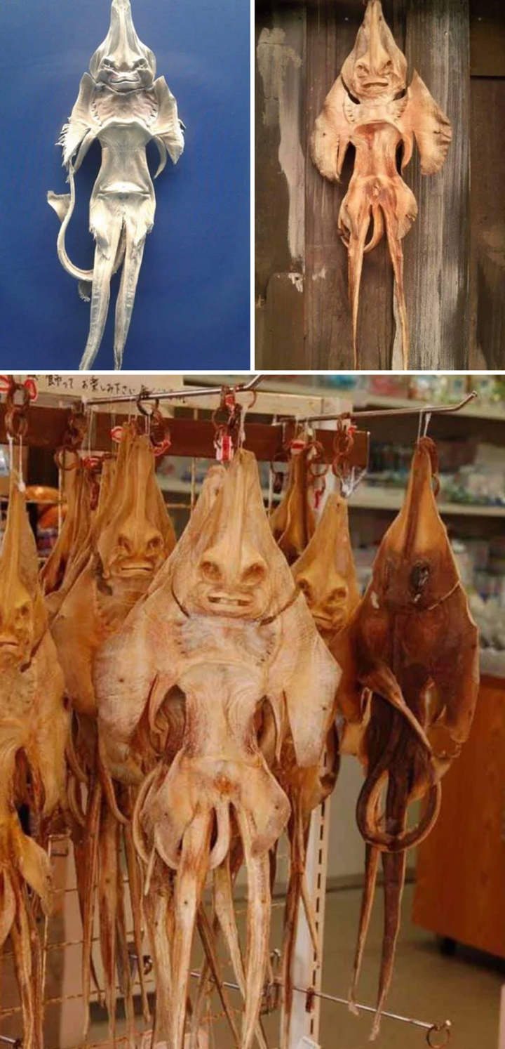 Tỉnh ngủ ngay tức thì với loạt ảnh chụp vu vơ nhưng gây tưởng tượng mạnh - 7