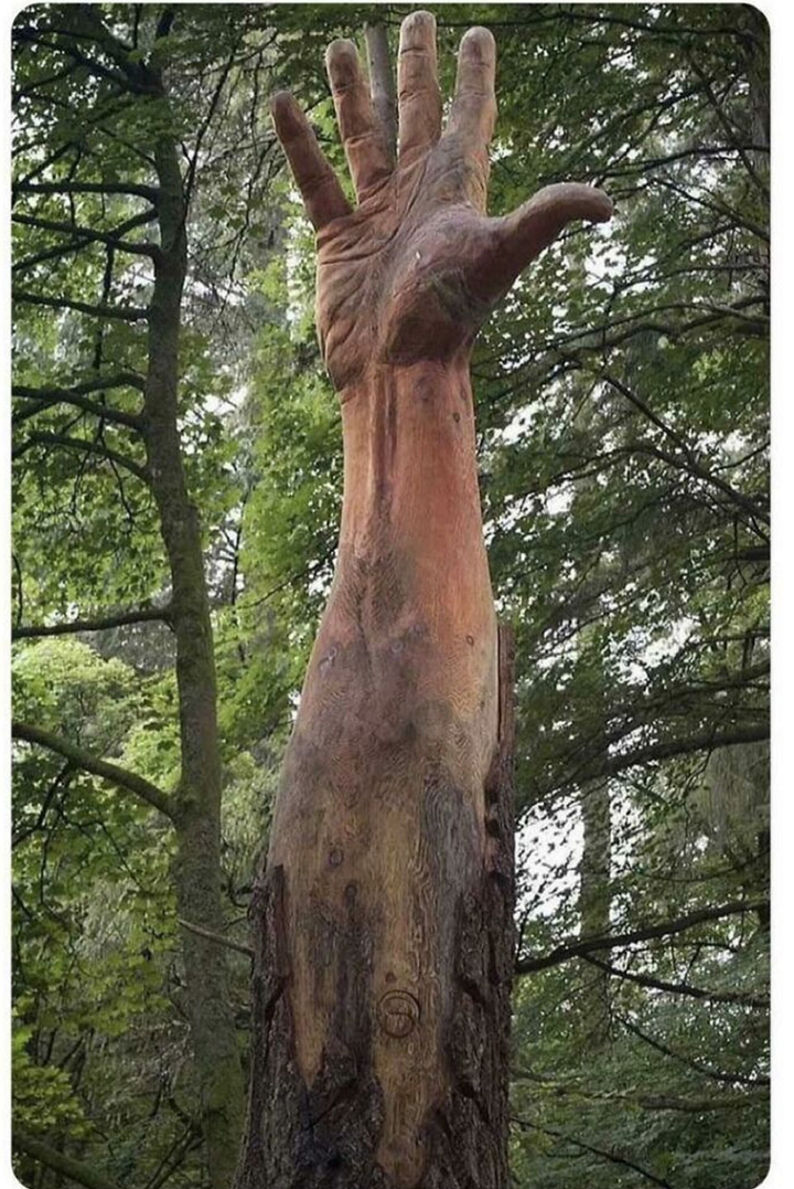 Tỉnh ngủ ngay tức thì với loạt ảnh chụp vu vơ nhưng gây tưởng tượng mạnh - 1