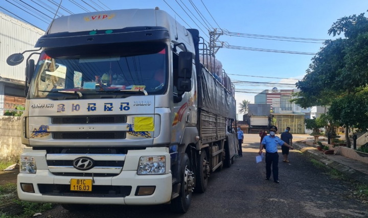 Tịch thu 1.000 ô lậu tại Gia Lai - 1