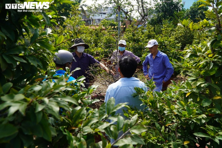 Nhiều nhà vườn làng mai Thủ Đức dự tính không thuê điểm bán, đẩy mạnh bán online - 5