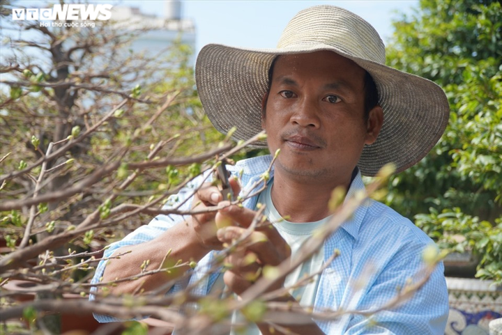 Nhiều nhà vườn làng mai Thủ Đức dự tính không thuê điểm bán, đẩy mạnh bán online - 3